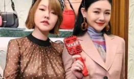 大s小s最新事件爆料人,揭秘姐妹情深背后的曲折人生